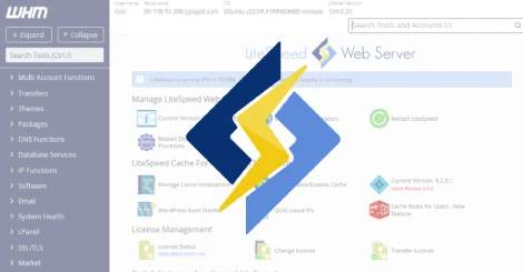 Serveur web compromis par une vulnérabilité critique dans LiteSpeed cPanel (CVE-2026-48172)